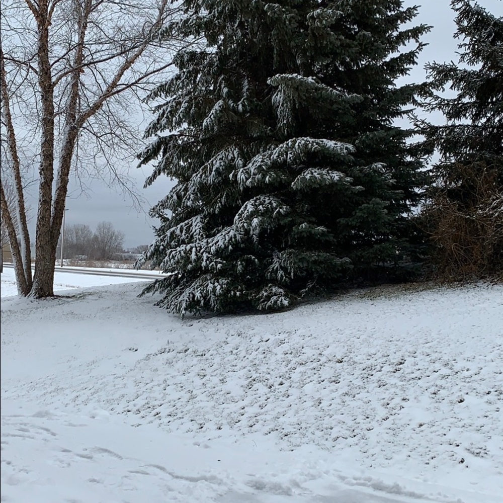 Meet your Posher, Genia